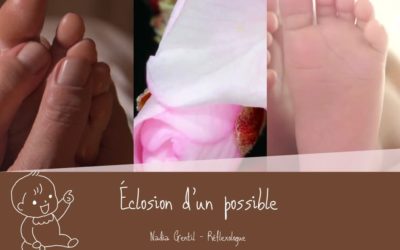 Éclosion d’un possible